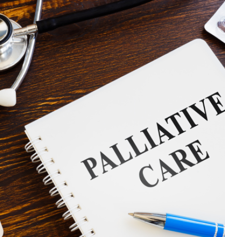 Palliative 2 B